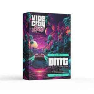 Portable 1ml DMT Vape Kit 800mg Cartridge Battery Exploration